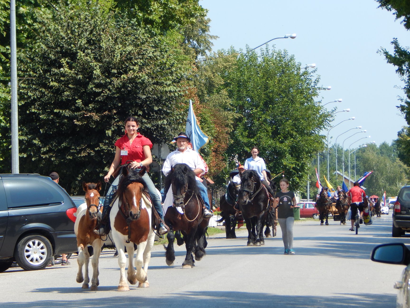 Program 27. konjogojske izložbe